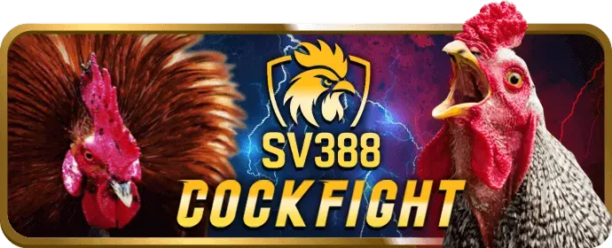 Bước 2: Cài đặt hồ sơ tin cậy